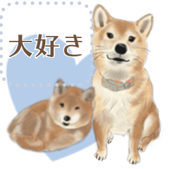 [LINEスタンプ] かわいい柴犬のメッセージスタンプ