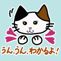 [LINEスタンプ] 癒しねこにゃあこ