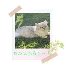 [LINEスタンプ] 今日のおにぎりの具は何にしよう…