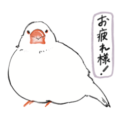 [LINEスタンプ] 白い文鳥スタンプ