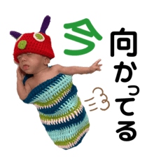 [LINEスタンプ] リガくん