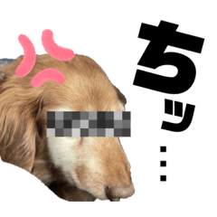 [LINEスタンプ] らぶぞぅw