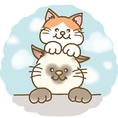 [LINEスタンプ] にゃかよしにゃんこ