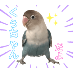 [LINEスタンプ] シロボタンくぅちゃん