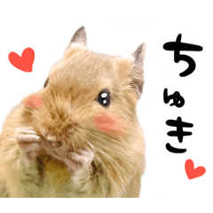 [LINEスタンプ] ベタ慣れデグーのもぐ♩