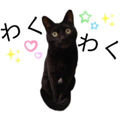 [LINEスタンプ] びび220123