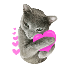 [LINEスタンプ] 白っぽい犬と黒っぽい猫。2