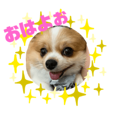 [LINEスタンプ] モコたん3