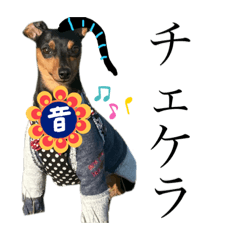 [LINEスタンプ] むぎぎゃわいい2