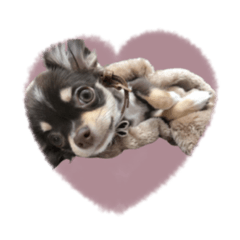 [LINEスタンプ] ♡misato様