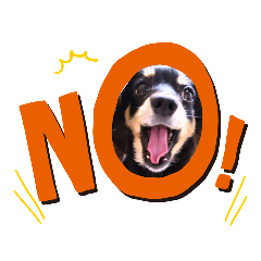 [LINEスタンプ] チワックスのシュカ  まいにち