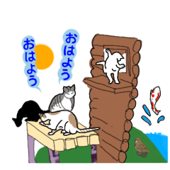 [LINEスタンプ] 猫との毎日