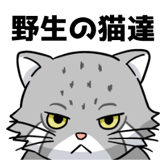 [LINEスタンプ] 野生の猫達