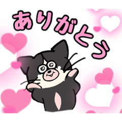 [LINEスタンプ] かまってねこのスタンプ（ハチワレ）