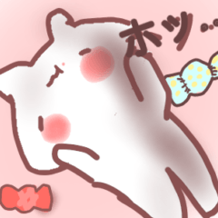 [LINEスタンプ] 毎日つかえる！！にゃんこスタンプ