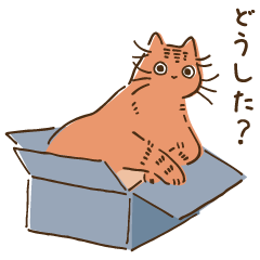 [LINEスタンプ] うちの猫 日常スタンプ