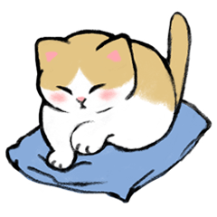 [LINEスタンプ] 猫好きの為の☆毎日使えるスタンプ