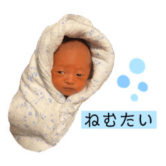 [LINEスタンプ] ひかりずすたんぷNo.1