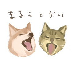 [LINEスタンプ] マルコとライ