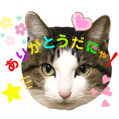 [LINEスタンプ] ぶちちび