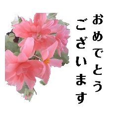 [LINEスタンプ] お花好きのための敬語スタンプ