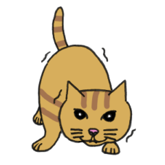 [LINEスタンプ] 猫のあるある