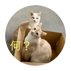 [LINEスタンプ] つくきな日常