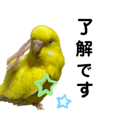 [LINEスタンプ] セキセイインコ ピッピちゃんの敬語