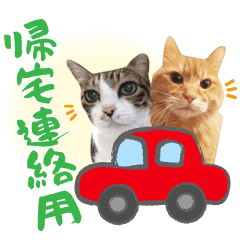 [LINEスタンプ] トラとハチワレ【帰宅連絡編】