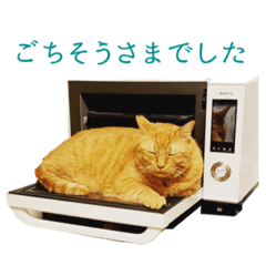 [LINEスタンプ] ねこ★デザインスタンプ