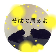 [LINEスタンプ] RINとSIN