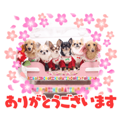 [LINEスタンプ] 愉快な8ワンズ