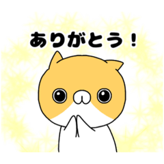 [LINEスタンプ] 茶白猫の日常からちょい毒舌までのスタンプ