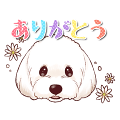 [LINEスタンプ] マルックスわんこ☆マロンのスタンプ