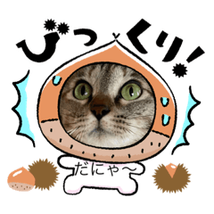 [LINEスタンプ] 犬ネコどあっぷ耐えれますスタンプ