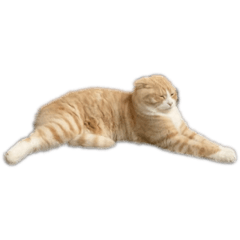 [LINEスタンプ] とろころすたんぷ