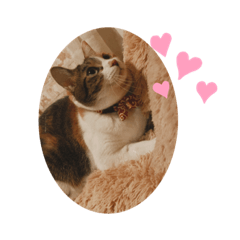 [LINEスタンプ] アベポンスタンプ#3