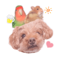 [LINEスタンプ] ココたん＆よもぎまる＆もんぢゃ1