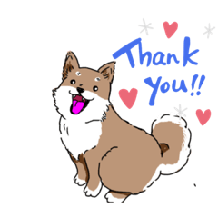 [LINEスタンプ] ちょこっと可愛い柴犬の日常