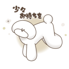 [LINEスタンプ] ホワイトプードル1-3