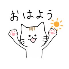 [LINEスタンプ] ちる猫スタンプ【基本1】