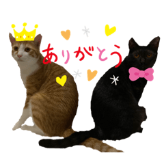 [LINEスタンプ] ツナとマヨ