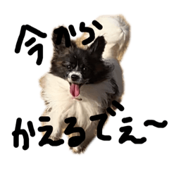 [LINEスタンプ] コロンプダキュたん