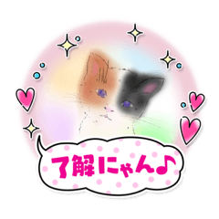 [LINEスタンプ] ほっとひといきにゃん