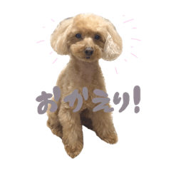 [LINEスタンプ] ころりんすたんぷ2