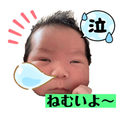 [LINEスタンプ] ちふゆの日常2