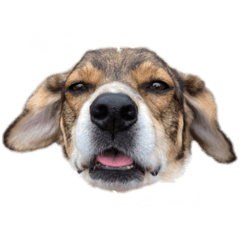 [LINEスタンプ] ジョン様その6