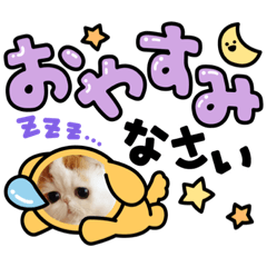 [LINEスタンプ] 変顔ペット
