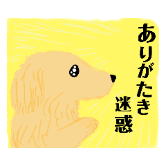 [LINEスタンプ] ワン！ステッカー