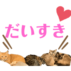 [LINEスタンプ] 我が家のにゃんこ2。
